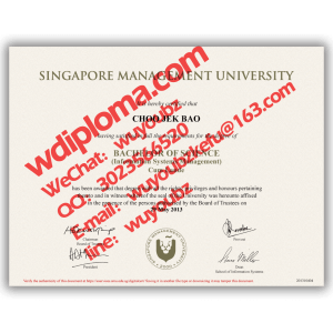 Diploma from Singapore management university 管理大学假文凭